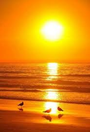 Why Sunlight is More Than Just Light