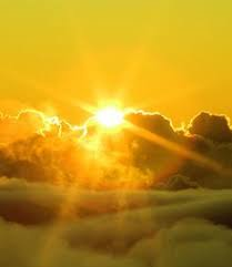 8. Cultivating Harmony Through Sunlight