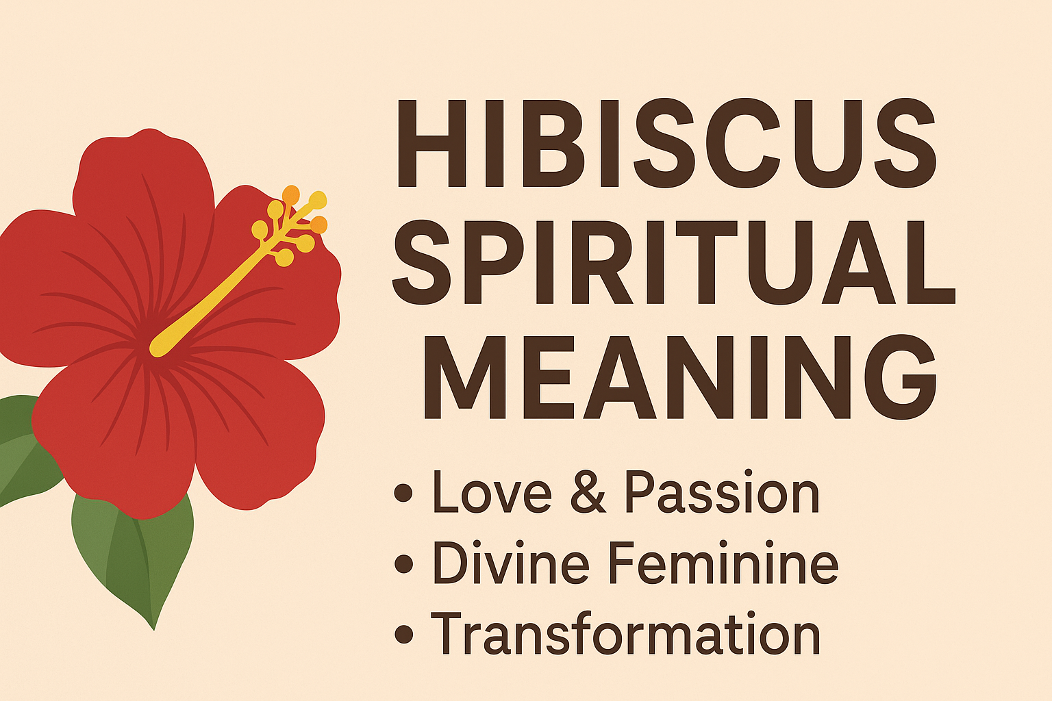 Infographic showing a red hibiscus flower on the left and the text “Hibiscus Spiritual Meaning” on the right, with bullet points reading “Love & Passion,” “Divine Feminine,” and “Transformation,” set on a warm beige background.